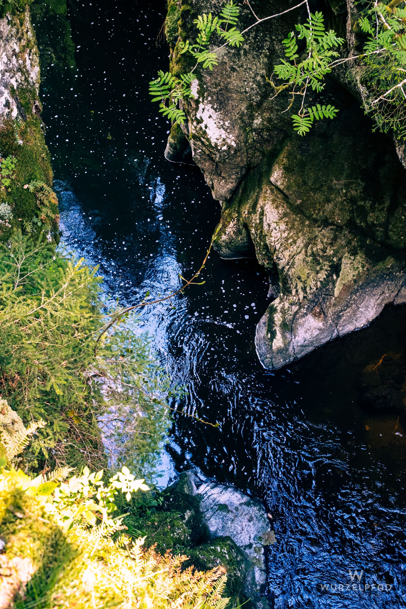 Blick hinab am Rechenfelsen